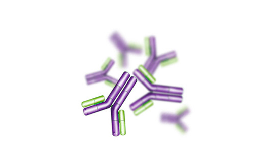 兔抗豚鼠IgM（Rabbit Anti-Guinea pig IgM antibody ）