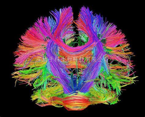 遗传学大牛最新Science利用CRISPR实时记录每个细胞的历史