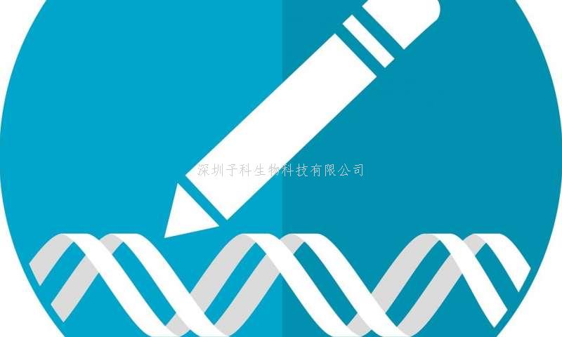 广州医科大学最新文章：利用碱基编辑技术在胚胎层面修复致病突变