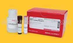 K-LISA IKKbeta Inhibitor Screening Kit，货号：CBA044-1KIT