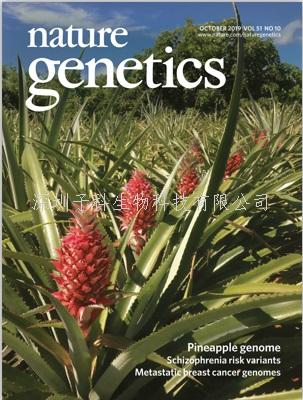 福建农林大学发表Nature Genetics封面文章：高质量菠萝基因组