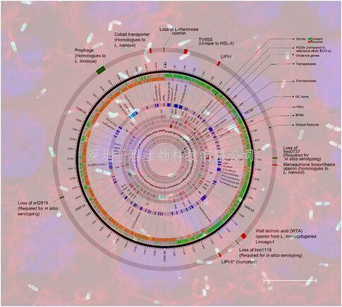 扬州大学最新Nature子刊发文解析新现超强毒力单核细胞增生李斯特菌