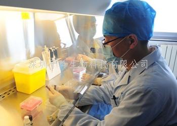 西安交大发表最新论文：可特异区分5hmU与5hmC的化学酶标记法