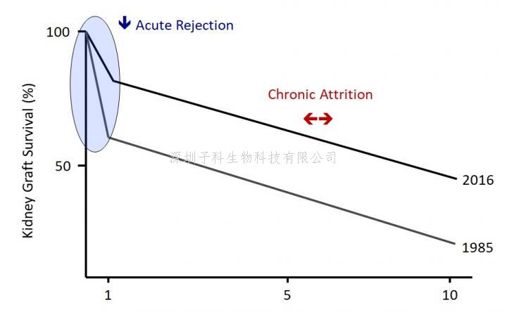 《Science》先天性免疫领域的开创性发现