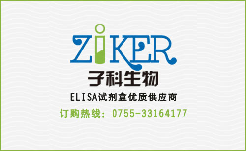 大鼠尿素（Urea）ELISA检测试剂盒