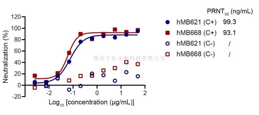 微生物所高福院士/王奇慧团队在猴痘病毒治疗性抗体研究中取得进展